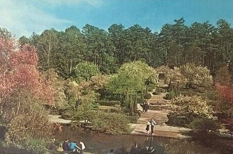 Sarah P. Duke Memorial Gardens Postcard - Collectible Ivy