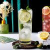 Vinsani Set of 6 Traditional Highball Glasses - 250ml (8.8oz) for Drinks Mixer Juice Beers Cold drinks Hiball Glass