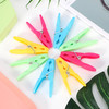 Vinsani Plastic Clothes Peg Basket 36 Piece Set Multicoloured - Strong Grip and Windproof Laundry Pegs Quality Non-Slip Clothes Pins for Home and Garden Vinsani Plastic Clothes Peg Basket 36 Piece Set Multicoloured - Strong Grip and Windproof Laundry Pegs Quality Non-Slip Clothes Pins for Home and Garden