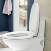 Vinsani Quick Release Toilet Seat Soft Close Thermoset Lid with Push Button Detach Anti-Slip Bumpers Easy Clean Hinges | Universal Bathroom Bowl Seating Fit for O Shaped Toilets - 43 x 36 x 12.5 cm Vinsani Quick Release Toilet Seat Soft Close Thermoset Lid with Push Button Detach Anti-Slip Bumpers Easy Clean Hinges | Universal Bathroom Bowl Seating Fit for O Shaped Toilets - 43 x 36 x 12.5 cm