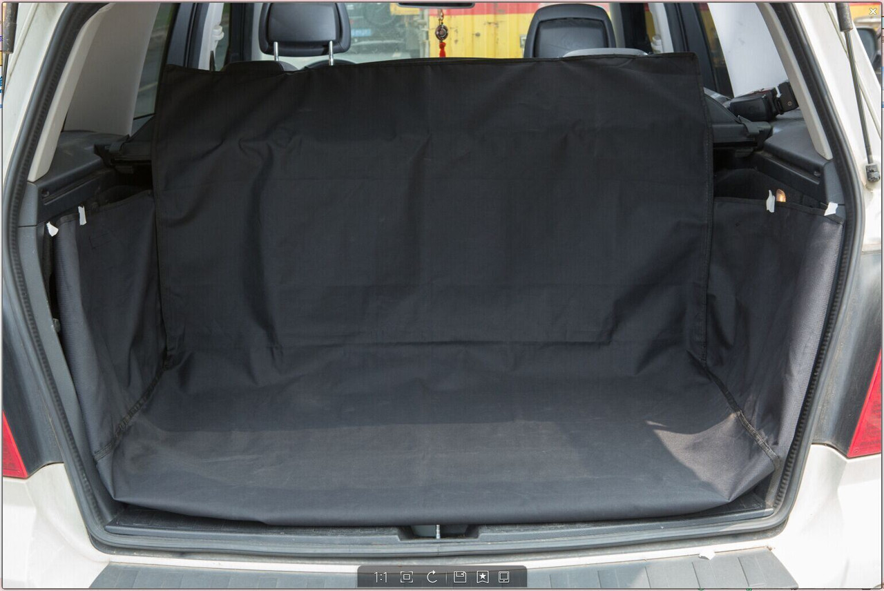 Boot Liner/Protector?