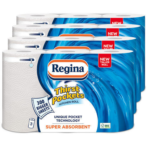 Paper Products 12 Rolls Of Regina Blitz Kitchen Roll Paper Towels