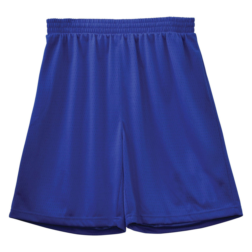 Adults Plain Basketball Sport Shorts - SS21 | Royal