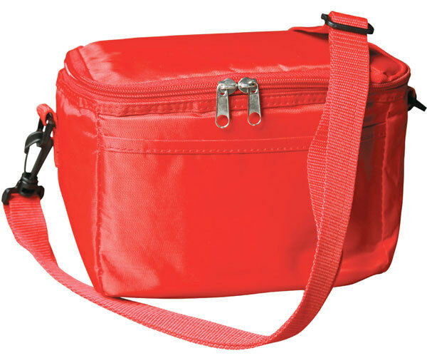 6 Can Cooler Drink Insulated Bag - B6001 