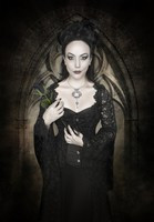 An Adventure Into Alchemy