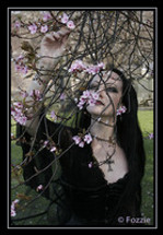 Your Valentine – the darker side of the legend