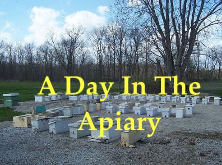 Online Beekeeping Courses