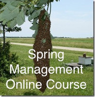 Online Spring Management Course- ONLINE