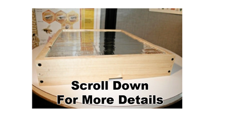 10F-Winter-Bee-Kind PREORDERS BEGIN AUG. 1