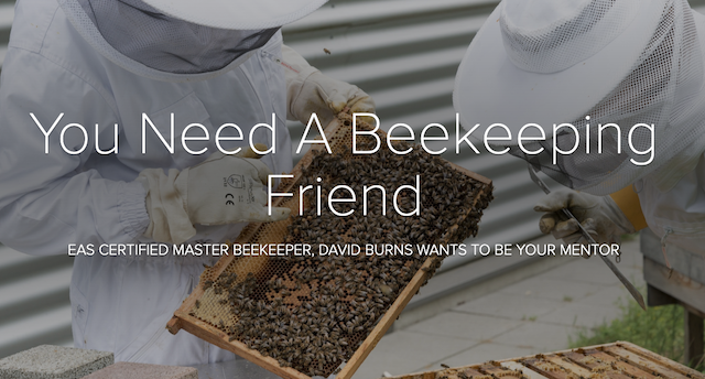 Beekeeping mentorship