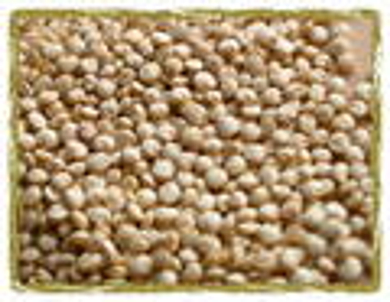 Grains 