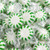 Spearmint Starlight Mints Hard candy bulk wrapped candy 2 Lbs. Starlite Mints