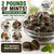2 pounds of chocolate mint candy with approximately 175 individually wrapped pieces