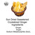 Ingredient graphic showing sun-dried sweetened crystallized ginger with listed ingredients: ginger, sugar, sodium metabisulfite (SO₂).