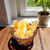 Sun-dried crystallized ginger pieces in a glass bowl near natural light, showing clarity of cut and sugar coating.