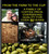 Fasig’s Coffee family-owned brand with over 25 years of roasting experience.
Fasig’s Coffee – a family-owned roaster delivering premium quality coffee for over 25 years. From farm to cup, expertly crafted medium roast.