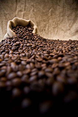 coffee-beans.jpg