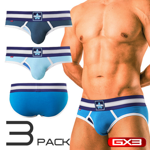 GX3 Underwear IVY LEAGUE 3-Pack Basic Brief (K853)