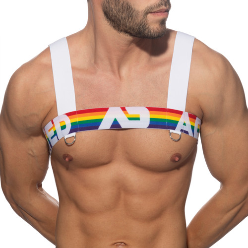 Addicted Rainbow Harness (AD1111-01)