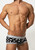 TOOT Underwear Yorkshire Printed Nano Trunk Black (NB47H341-Black)