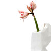 White Paper Vase Cover (detail) | The Design Gift Shop