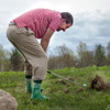 Blue Q Men's Socks 'Golf' in Action | The Design Gift Shop