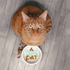 Cat Lady Bowl and Mug Set | The Design Gift Shop