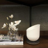 LEXON Miami Scent Aroma Diffuser Rose Gold/Wood | the design gift shop