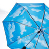 MoMa Sky Umbrella Collapsible | the design gift shop