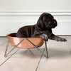 bendo woof dog bowl copper on chrome | the design gift shop