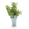 Blue Slim Flower Pot  with herbs by Monkey Business | the design gift shop