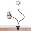 ISgift Livestreaming Pro-Lighting Kit | the design gift shop
