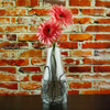 Expandable and Collapsible Vase Octovaz | the design gift shop