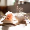 ORGANIC MERCHANT Restful Tea | the design gift shop