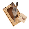 Wildlife Garden Mountain Hare hand-carved wall hook presented in its sustainable brown cardboard gift box.