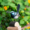 WILDLIFE GARDEN DekoBird Fairy Wren in front of vegetation