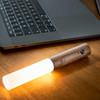 GINKGO Smart Baton Light Walnut | the design gift shop