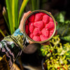 CANDLECAN Red Ripe Strawberries Candle | the design gift shop