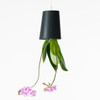 BOSKKE Sky Planter Recycled Black Small | the design gift shop