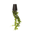 BOSKKE Sky Planter Recycled Black Medium | the design gift shop