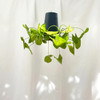 BOSKKE Sky Planter Recycled Black Medium | the design gift shop