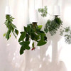 BOSKKE Sky Planter Recycled White Large | the design gift shop