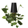 BOSKKE Sky Planter Recycled Black Large | the design gift shop