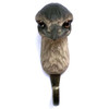 Front view of a hand-carved timber Emu hook, featuring its large, dark eyes, textured beak, and realistic grey and brown plumage.