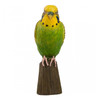 WILDLIFE GARDEN DekoBird Budgerigar | the design gift shop