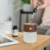 GINGKO Smart Diffuser Lamp Walnut | the design gift shop