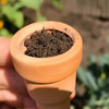 Kikkerland Bottle Top Herb Planter with plant soil | the design gift shop