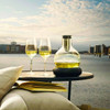 EVA SOLO Cool Wine Decanter 0.75 l (wine glasses not included) | the design gift shop