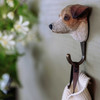 Close-up lifestyle shot of a Jack Russell Terrier wooden wall hook mounted on a wall, holding a knitted item.