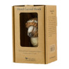 Wildlife Garden Alpaca hand-carved wall hook presented in its sustainable brown cardboard gift box with an informational booklet.